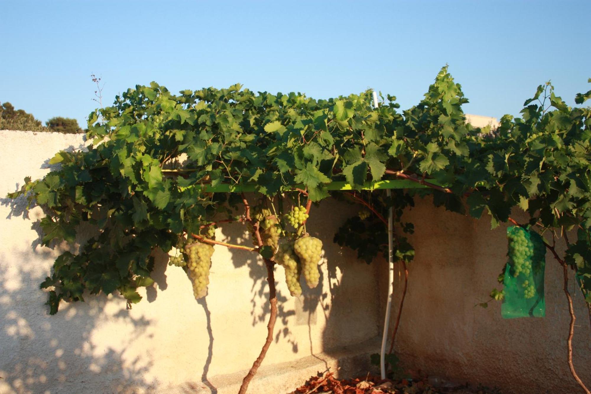 Casa Solare Rakalia Villa Spano Buitenkant foto